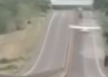 Por falta de combustible aterrizó avioneta en la autopista Mazatlán-Culiacán: Verona Hernández