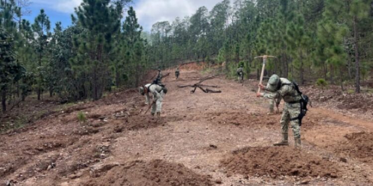 Grupo Interinstitucional asegura e inhabilita una pista clandestina en Choix
