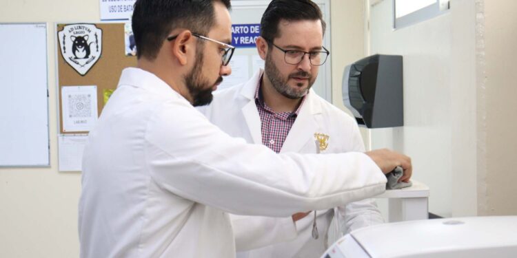 En colaboración con el CIAD, egresado de Maestría de la UAS desarrolla bebida antioxidante y antihipertensiva a base de jamaica y garbanzo