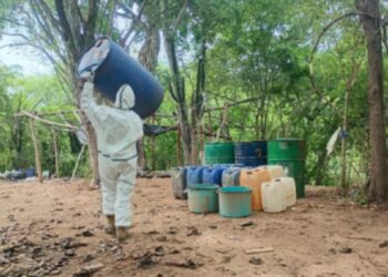 Localizan y destruyen 4 áreas de concentración de precursores químicos para la elaboración de drogas en Cosalá y Culiacán