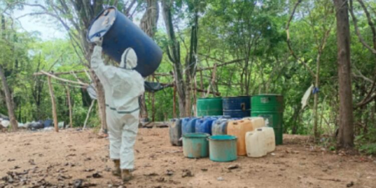 Localizan y destruyen 4 áreas de concentración de precursores químicos para la elaboración de drogas en Cosalá y Culiacán