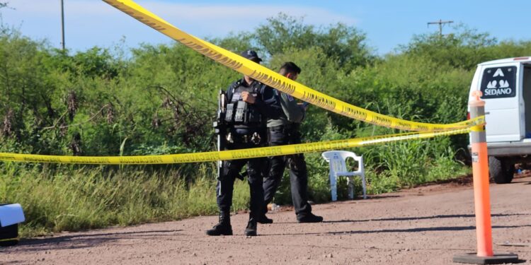 Hallan a tres hombres asesinados en Pericos, Mocorito