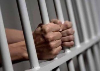 Vinculan a proceso a imputado por crueldad animal y allanamiento en Culiacán