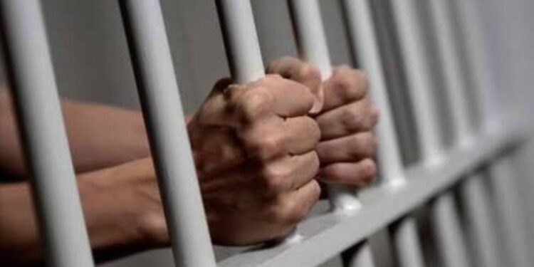 Vinculan a proceso a imputado por crueldad animal y allanamiento en Culiacán