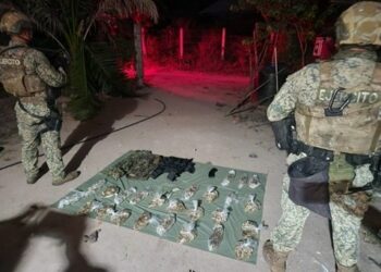 Ejército Mexicano localiza 10 áreas de concentración de material para la elaboración de droga sintética en Sinaloa