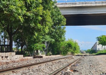 Un hombre resulta amputado de ambas piernas por el Tren en El Palmito viejo