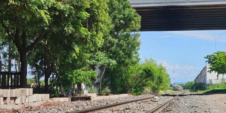 Un hombre resulta amputado de ambas piernas por el Tren en El Palmito viejo