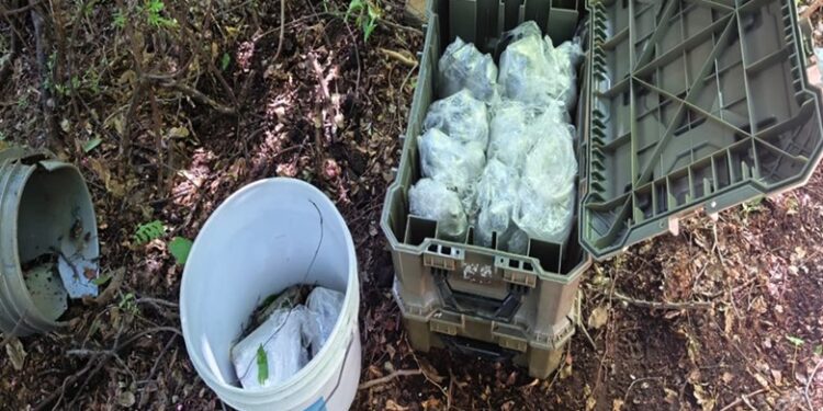 Ejército Mexicano asegura 100 artefactos explosivos improvisados en Sinaloa