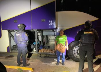 Detienen a una mujer con 22 paquete drogas en un camión de ruta federal