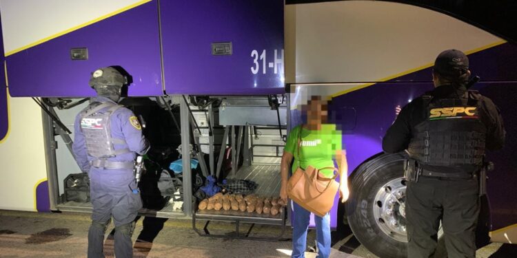 Detienen a una mujer con 22 paquete drogas en un camión de ruta federal