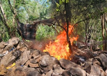 Campamento usado por la delincuencia organizada en Tepuche es asegurado y destruido