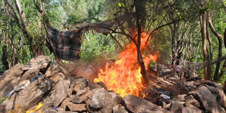 Campamento usado por la delincuencia organizada en Tepuche es asegurado y destruido