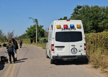Cinco homicidios dolosos, 13 vehículos robados y 8 levantados se registraron ayer en Sinaloa