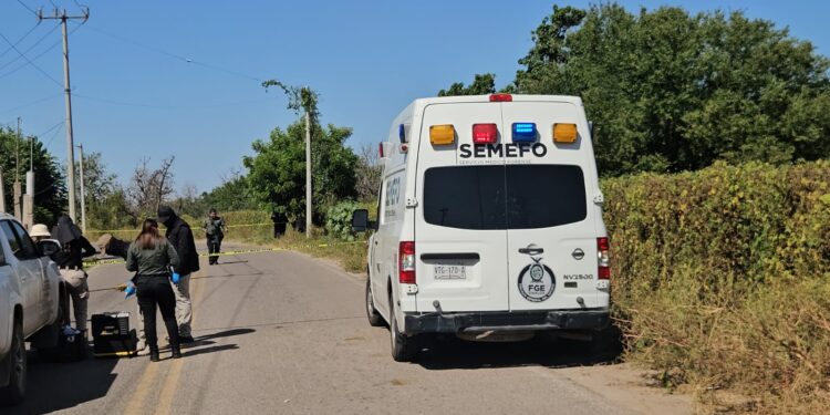 Cinco homicidios dolosos, 13 vehículos robados y 8 levantados se registraron ayer en Sinaloa