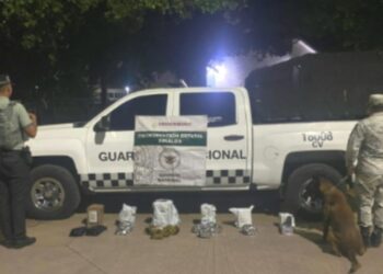 Aseguran drogas y vapeadores en una paquetería de Culiacán