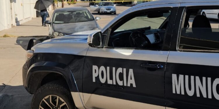 Atacan a balazos una frutería en Navolato y levantan a un hombre