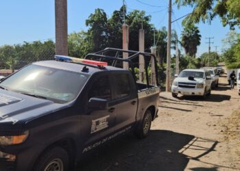 Identifican a 4 de los 7 abatidos en Tepuche