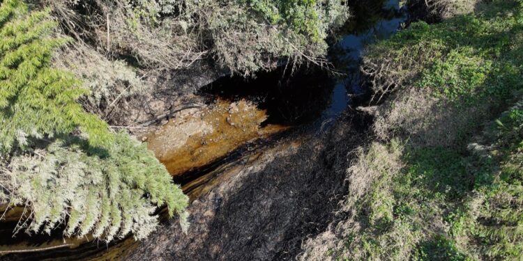 UNBIO exige a la PROFEPA actuar de inmediato ante el derrame de hidrocarburos en el Río Pantepec