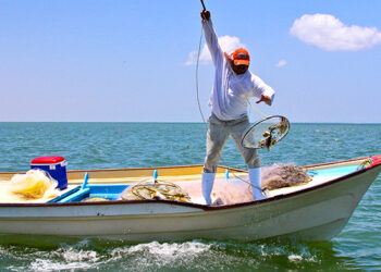 El jueves se pagará el Bienpesca Estatal 2025; beneficiará a más de 32 mil pescadores sinaloenses
