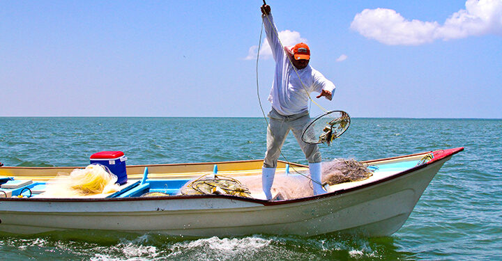El jueves se pagará el Bienpesca Estatal 2025; beneficiará a más de 32 mil pescadores sinaloenses