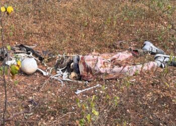 Localizan restos de una persona a un costado de La Primavera