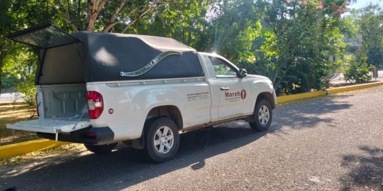 Localizan a cuatro hombres desconocidos ejecutados a balazos en San Ignacio