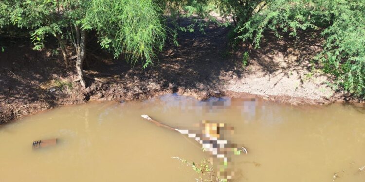 Hallan sin vida a un hombre entre Culiacán y Mocorito