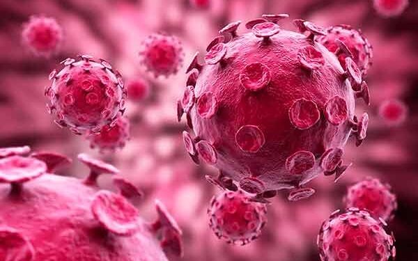 Investigador de la UAS participó en el International Conference on Applied Intelligence, en China, presentando aplicaciones de IA en Medicina e Ingeniería