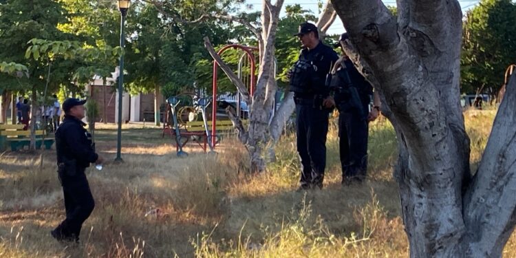 Asesinan a jovencito en Jardines de Santa Fe