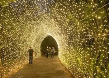 ¡No te lo pierdas! Anuncian apertura de Navidad en el Jardín Botánico este próximo domingo