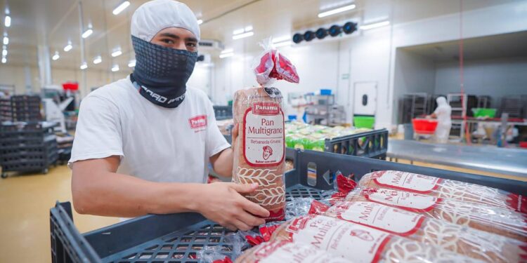 Sinaloa incrementa su población ocupada en el tercer trimestre de 2025: INEGI