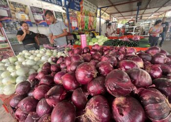 Registran comercio y turismo pérdidas del 70% a 26 días de Navidad en Navolato