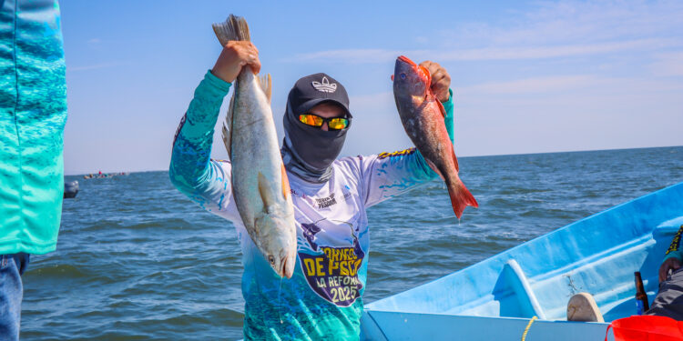Sinaloa impulsa la pesca deportiva con el exitoso Torneo La Reforma 2025