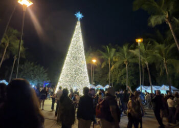 Culiacán enciende la esperanza: inauguran “Una noche en el jardín” en el Jardín Botánico