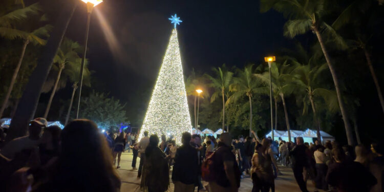 Culiacán enciende la esperanza: inauguran “Una noche en el jardín” en el Jardín Botánico