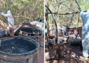 Aseguran 14 áreas de concentración de químicos y 3 laboratorios clandestinos en Culiacán y Cosalá