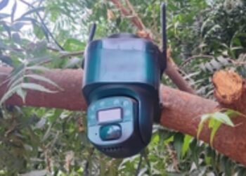 En Navolato, localiza y asegura cámara con celda solar instalada en un árbol