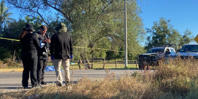 Matan a joven de La Cofradía de La Loma, en Navolato