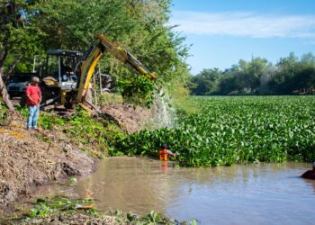 Ayuntamiento realiza acciones de limpieza y retiro de lirio acuático en el Río Humaya