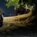 Ejecutan a balazos a un hombre en terreno baldío de la colonia Antonio Rosales