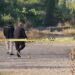 Localizan a un hombre desconocido asesinado a balazos en Aguaruto