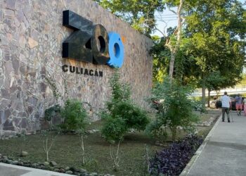 Zoológico de Culiacán cerrará el 24 y 31 de diciembre por festejos navideños y de Año Nuevo