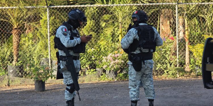 Asesinan a joven en vivero ubicado sobre la carretera Culiacán–Navolato