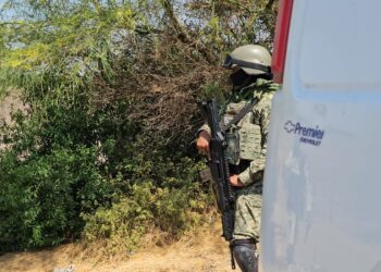 Localizan cuerpo sin vida en zona de manglares en Navolato