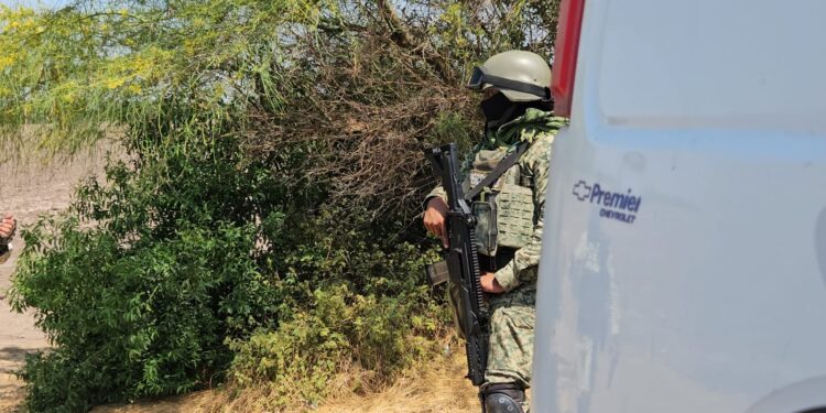 Localizan cuerpo sin vida en zona de manglares en Navolato