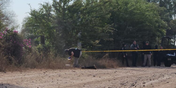 Hallan a dos hombres asesinados y con huellas de tortura en Navolato