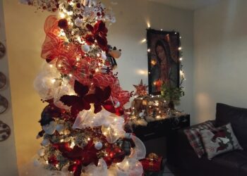 Protección Civil llama a no dejar encendidas por mucho tiempo las luces navideñas para evitar incendios