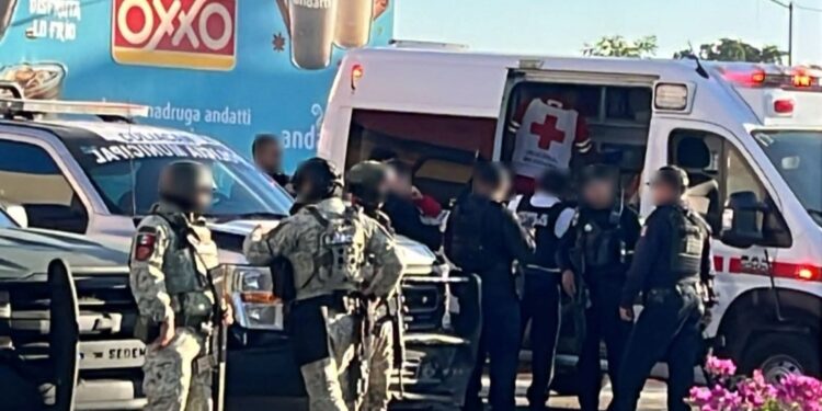 Rocha destaca caída en homicidios dolosos en Sinaloa, pero admite que la violencia sigue activa