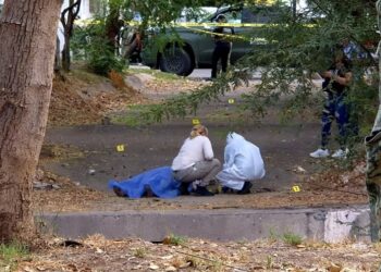 Hallan a una mujer asesinada a golpes en Villa Satélite