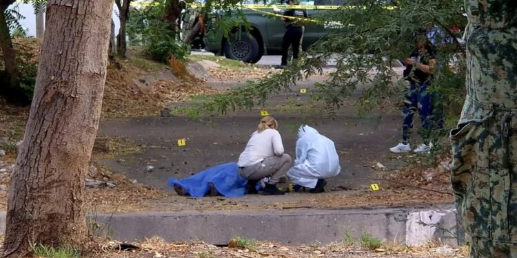 Hallan a una mujer asesinada a golpes en Villa Satélite